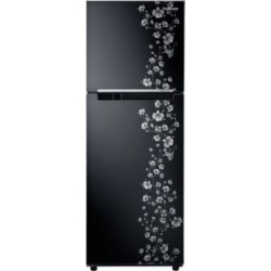 Samsung RT27JARMABX 253 Litres Double Door Refrigerator (Orcherry Pearl)