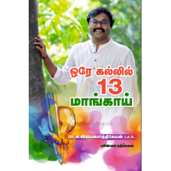ஒரே கல்லில் 13 மாங்காய்