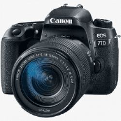 Canon EOS 77D (EF-S18-135 IS USM Lens) DSLR Camera 16 GB Card + Carry Case (Black)