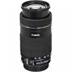 Canon EF-S 55-250mm F4-5.6 IS STM Lens for Canon SLR Cameras