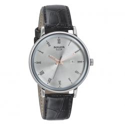 Sleek Silver Dial Analog Watch