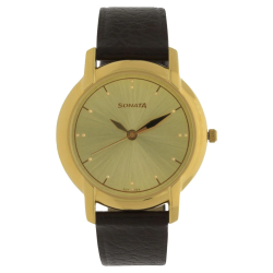 Champagne Dial Brown Leather Strap Watch