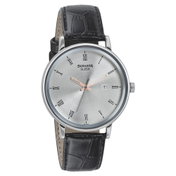 Sleek Silver Dial Analog Watch