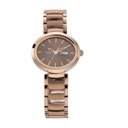 Raga Viva Brown Dial Metal Strap Watch