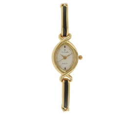 Raga White Dial Golden Metal Strap Watch NK2251YM01